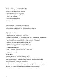 Embriology about slides