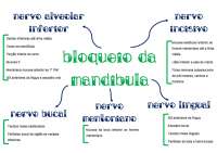 mapa mental anestia odontologica mandíbular