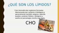 presentación de los Lípidos o grasas