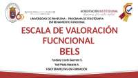 ESCALA DE VALORACIÓN FUNCIONAL DEL BELS