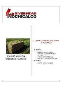 Proyecto de exportacion de alfalfa