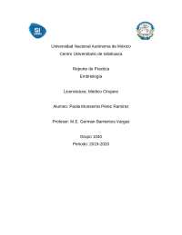 Importancia y Generalidades de la placenta, malformaciones y funciones hormonales y de protección para el bebé
