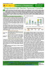 Análisis del sector forestal