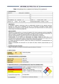 Informe de Práctica N° 01: Seguridad en el Manejo de Productos Químicos