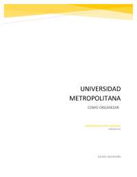 Organización: Conceptos, Tipos y Planificación Estratégica