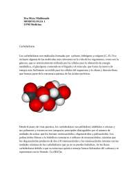 carbohidratos y sus propiedades