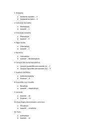 Chave dicotômica Algas ate Angiospermas