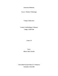 Tarea 4 - Estructura molecular