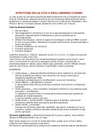 Dermatologia: struttura della cute e patologie