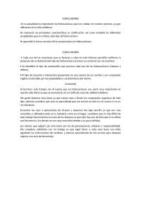 conclusiones hidrocarburos
