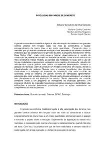 PATOLOGIAS EM PAREDE DE CONCRETO