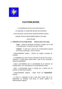 Princípios da Culpabilidade e Imputabilidade no Direito Penal