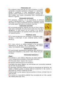 RESUMO AMEBA DE PARASITOLOGIA