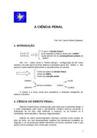 Introdução à Ciência do Direito Penal: Teorias e Disciplinas