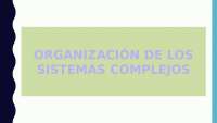 sistemas complejos y ejemplos