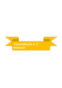 Desenvolvimento embrionário Fecundação