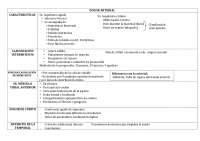 Isquemias y enfermedades venosas: síntomas, diagnóstico y diferencias
