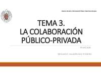 Tema 3 CPP Gobernanza Europea
