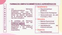 Receptores adrenérgicos