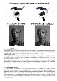 Differenze tra immagini Bitmap e Immagini Vettoriali