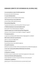 Domande e risposte di RI - Docsity