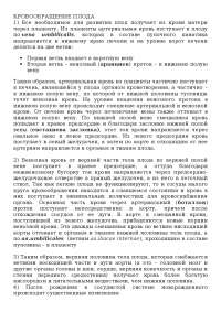 Реферат На Тему Кровообращение Плода Реферат На Тему Кровообращение Плода