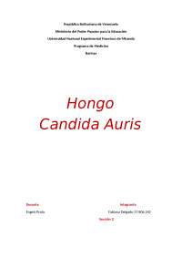 Hongo Candida Auris Microbiología - Docsity