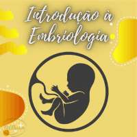 Embriologia e Teratologia: Estudo das Origens e Anomalias Fetais