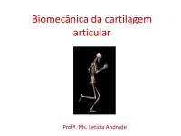 Academia e Musculação