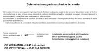 Determinazione del grado zuccherino del mosto: misurazione densimetrica