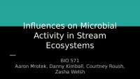 Microbial Community Lecture