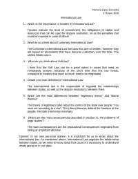 Importance of International Law: Treaties, Customary Law, Soft Law, Theories