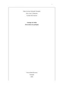 Geologia da Província de Sofala: Formações Geológicas e Estrutura Tectónica - Prof. Momade