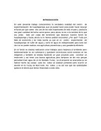 informe del fundo huayllapampa
