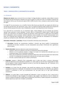 TEMAS 1 Y 2, INFORMATICA DE GESTIÓN