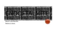 Aula Endoftalmite Oftalmologia