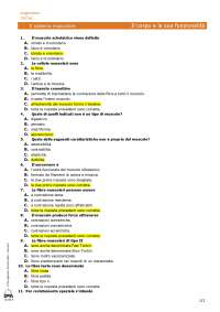 Il sistema muscolare