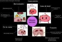 mapa mental proceso adictivo