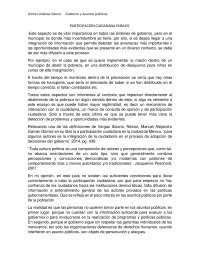 Ensayo sobre participación ciudadana.