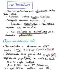 RESUMEN DE LAS PROTEÍNAS | Apuntes de Biología | Docsity