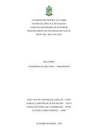 Processamento de Metais - Forjamento - RELATÓRIO