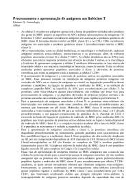 Processamento e Apresentação de Antígenos aos Linfócitos T: Reconhecimento Restrito MHC I 