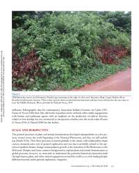 Plant and Animal Domestication in the Amazon: Unique Historical Trajectories