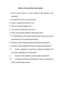 Roteiro de aula pratica de peixes