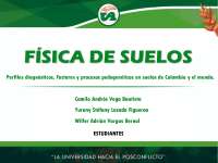 Suelo Aridisol, orden de suelo.