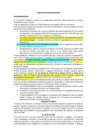 RUTAS METABOLICAS PARTE 1
