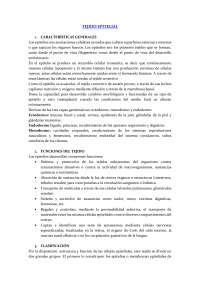 Epitelios: Tipos, Funciones y Clasificación