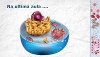 Núcleo de Célula: Estrutura, Função e Processos de Mitose e Meioses