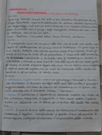 Analisi testi_ Leggere come io L'intendo 5 | Esercizi di ...