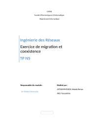 Exercice de migration et coexistence sur les réseaux sans fil et les réseaux cellulaire